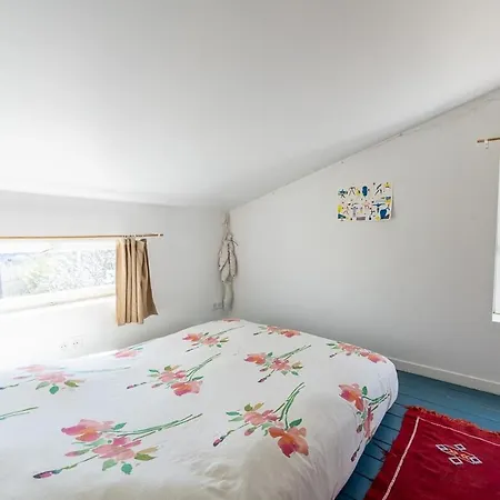Frida's House Tatil Evi