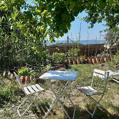 Frida's House Tatil Evi *