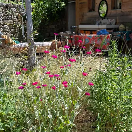 Frida's House Tatil Evi *