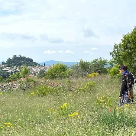 Frida's House Tatil Evi *