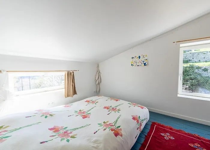 Frida's House בית נופש