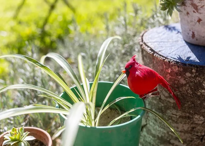 בית נופש Frida's House *