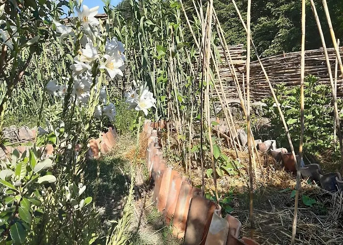 בית נופש Frida's House